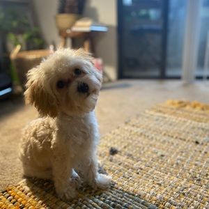 Meet your Posher, Dora